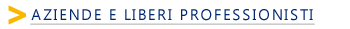 Aziende e liberi professionisti